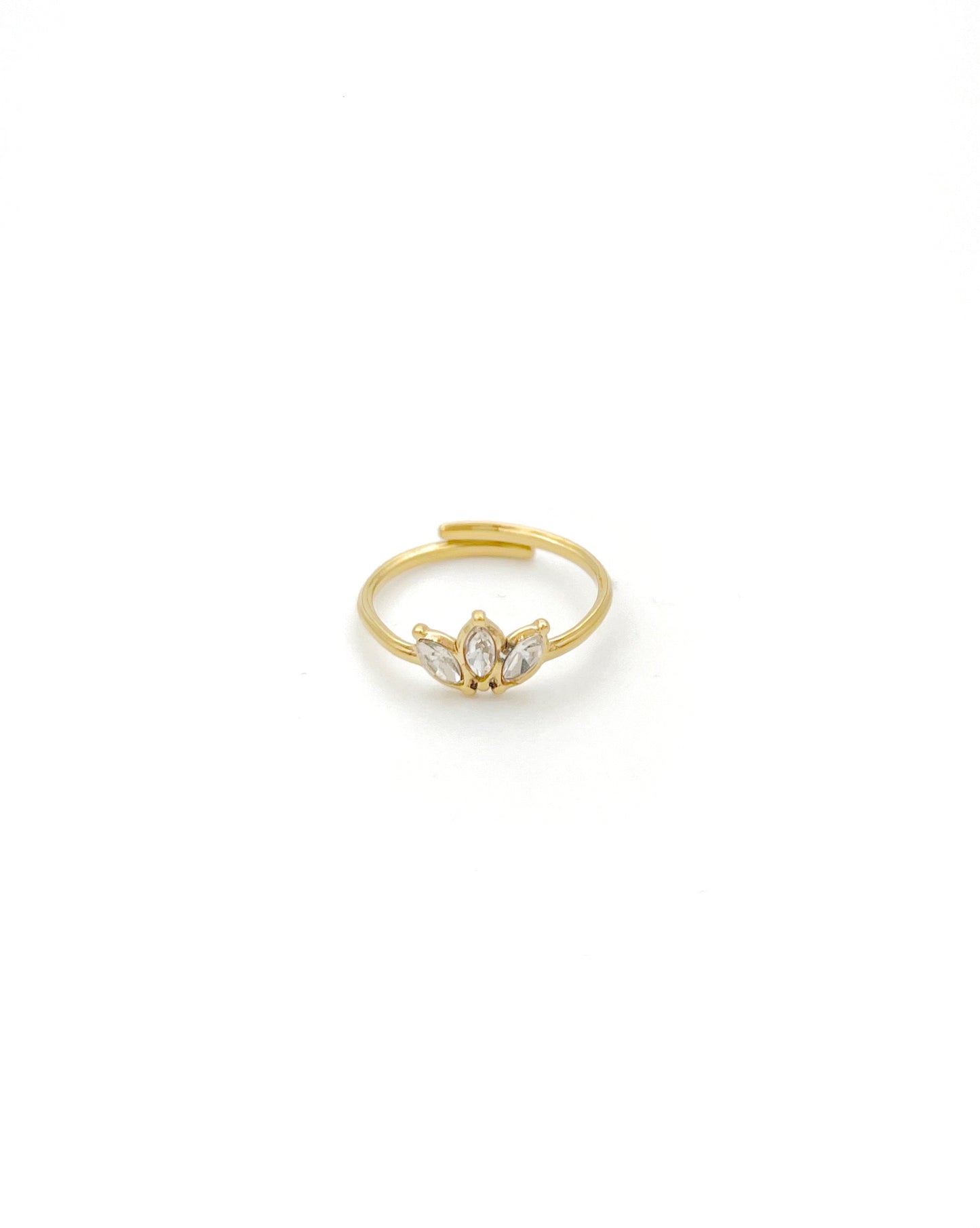 Bague New Delhi